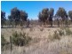 174 Ebsary Road, Dumbleyung WA 6350