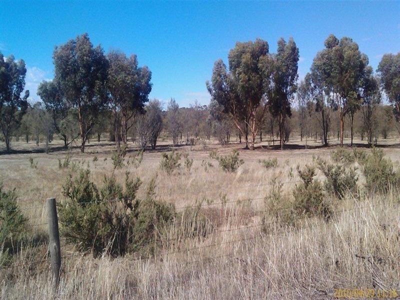 174 Ebsary Road, Dumbleyung WA 6350