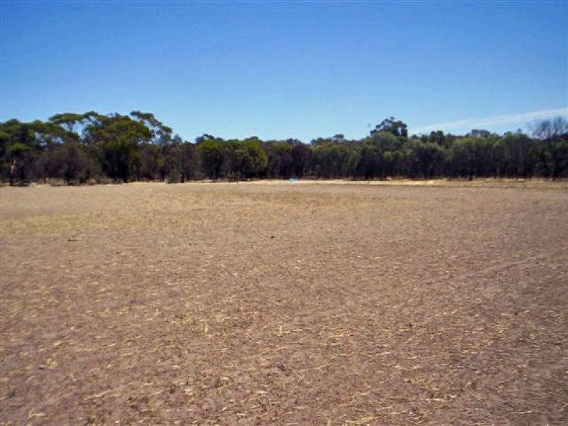 86 Vince, Piesseville WA 6315