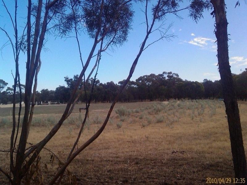 86 Vince, Piesseville WA 6315