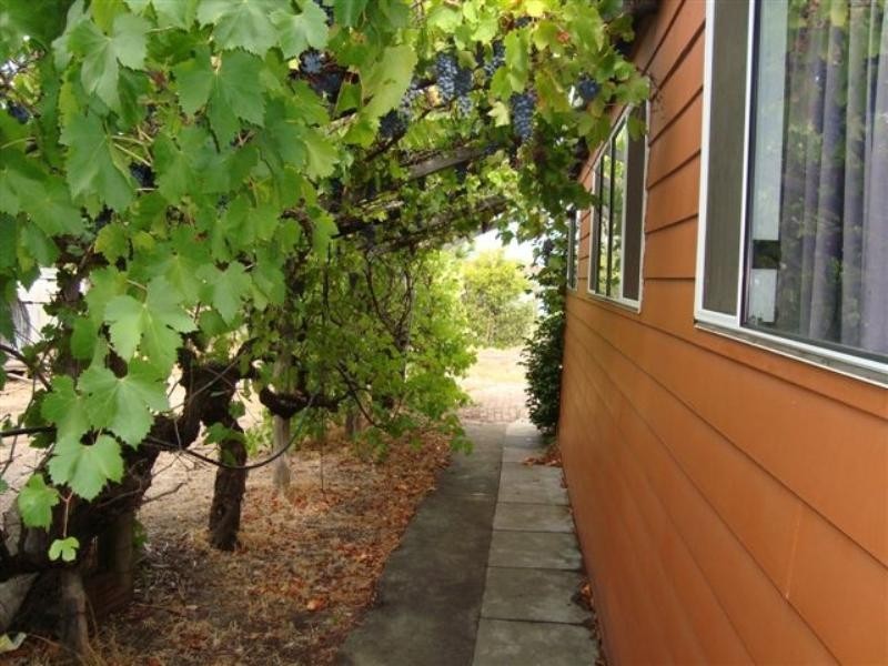 49 Arbour Street, Katanning WA 6317