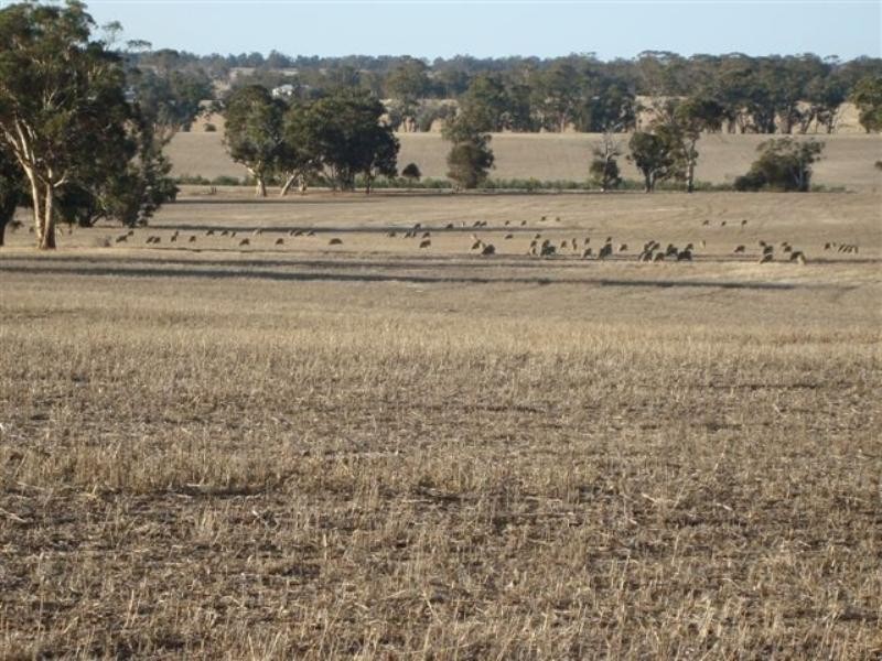 Lot 2204 cnr Flat Rocks Rd and Etna Road, Broomehill WA 6318