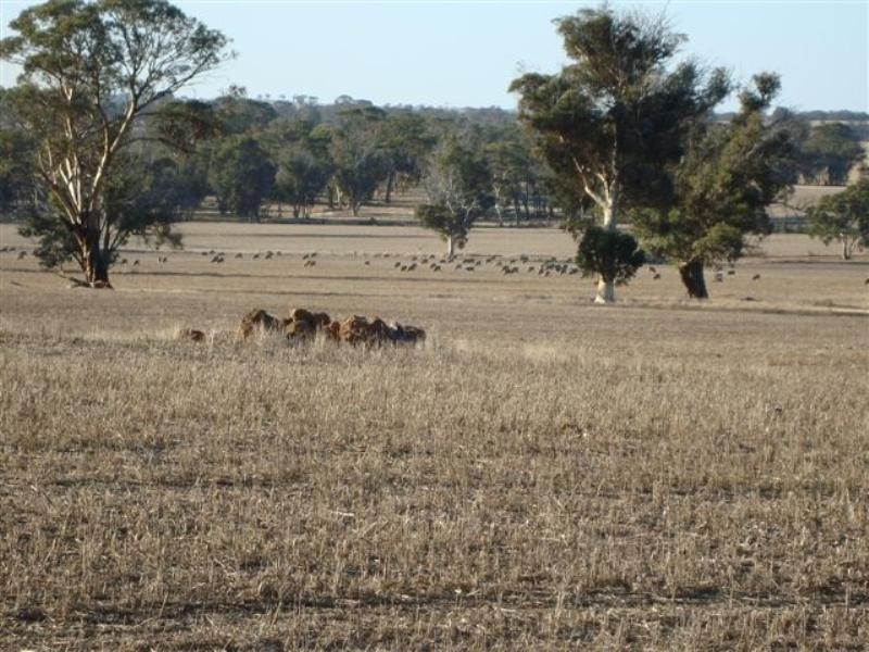 Lot 2204 cnr Flat Rocks Rd and Etna Road, Broomehill WA 6318