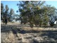 Lot 2204 cnr Flat Rocks Rd and Etna Road, Broomehill WA 6318