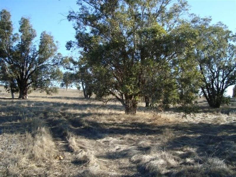 Lot 2204 cnr Flat Rocks Rd and Etna Road, Broomehill WA 6318