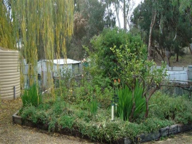 50 Gordon Street, Kojonup WA 6395