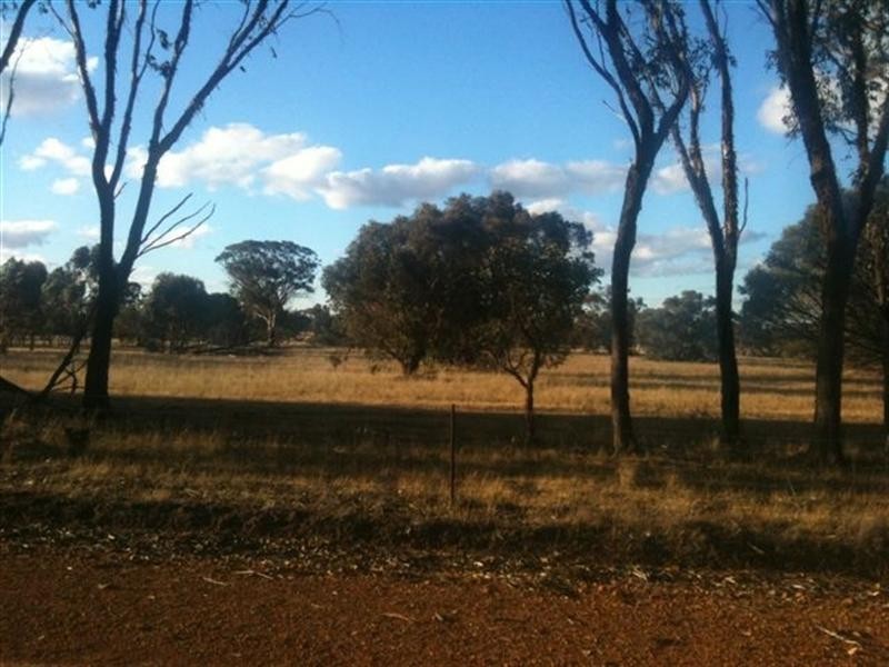 238 Rourke Street, Tambellup WA 6320