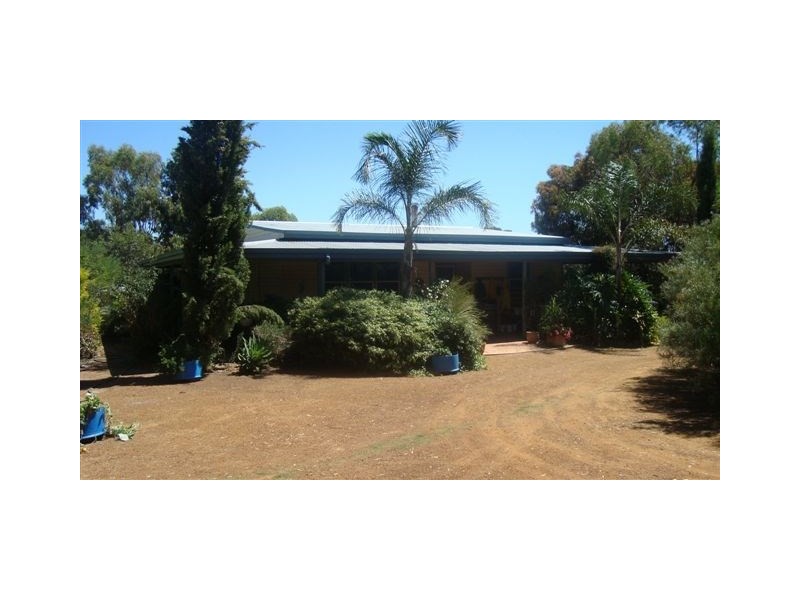 98 Pinwernying Road, Katanning WA 6317