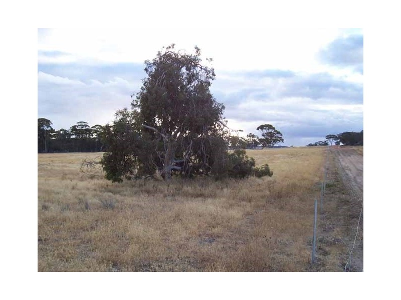 173 Prosser Road, Woodanilling WA 6316