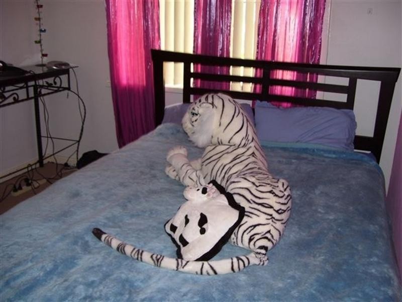 17 Quinn Street, Gnowangerup WA 6335