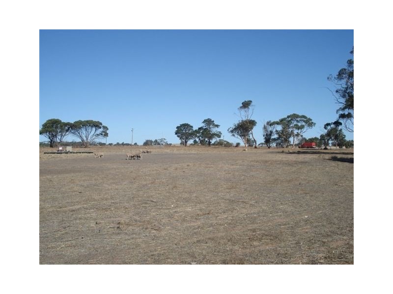 196 Chillicup Road, Broomehill WA 6318