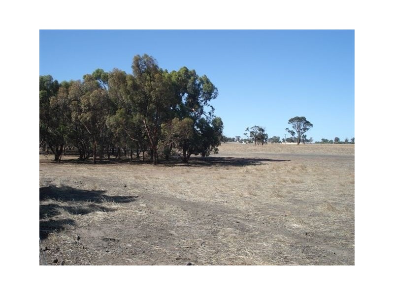 196 Chillicup Road, Broomehill WA 6318