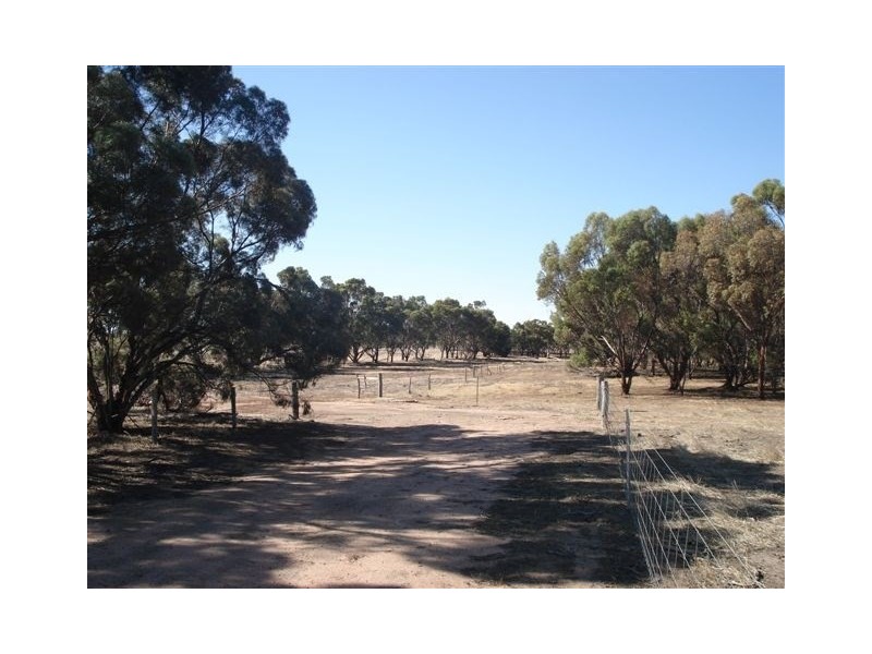 196 Chillicup Road, Broomehill WA 6318