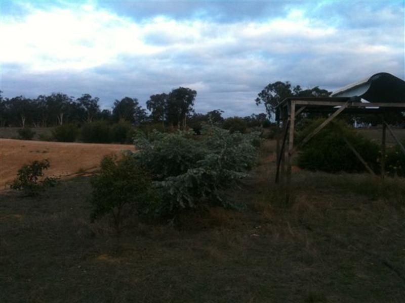 Lot 2877 Poonawarriup Road, Broomehill WA 6318