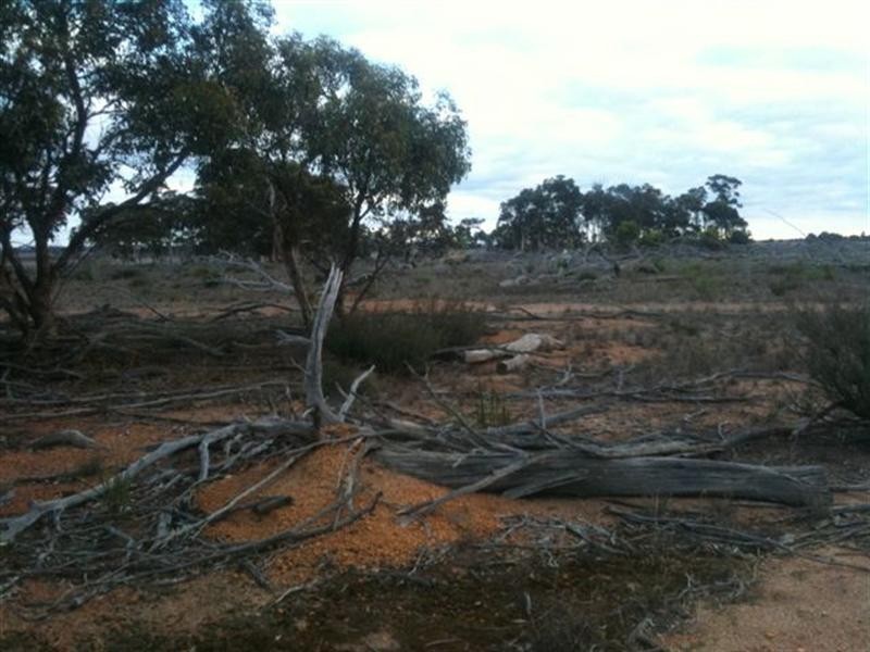 Lot 2877 Poonawarriup Road, Broomehill WA 6318