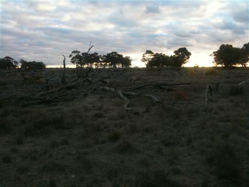 Lot 2877 Poonawarriup Road, Broomehill WA 6318