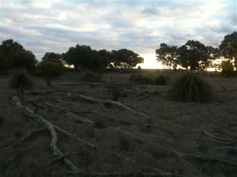 Lot 2877 Poonawarriup Road, Broomehill WA 6318