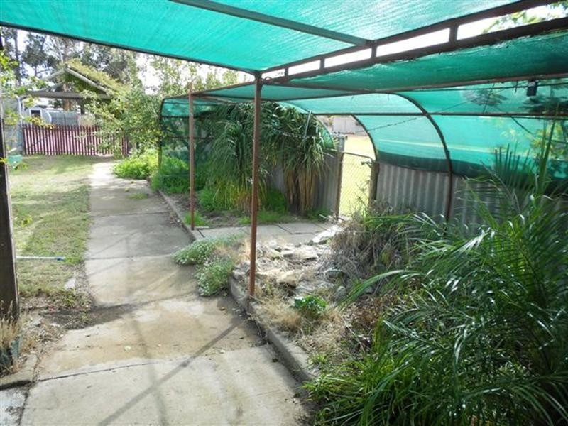 24 Broome Street, Katanning WA 6317