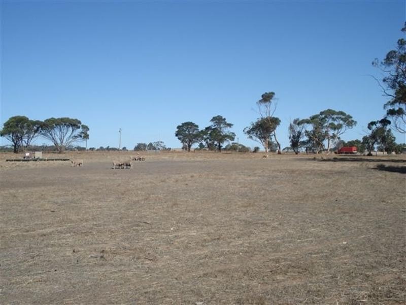 196 Chillicup Road, Broomehill, Katanning WA 6317