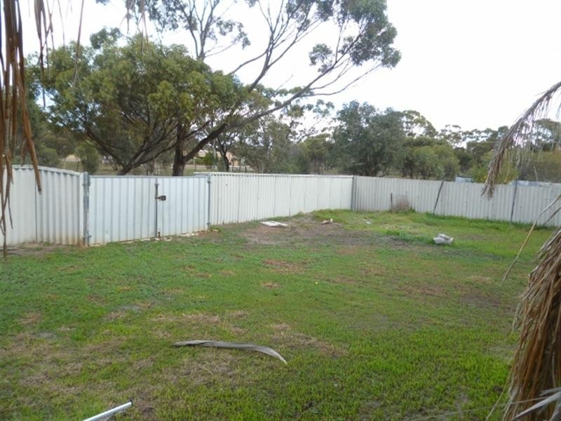 7 Bond Street, Katanning WA 6317