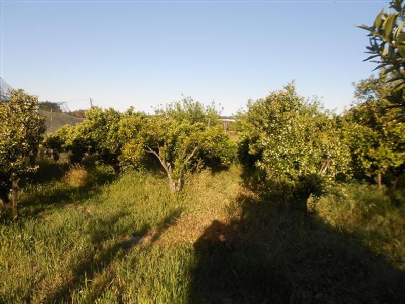 7 Haddleton Road, Woodanilling WA 6316