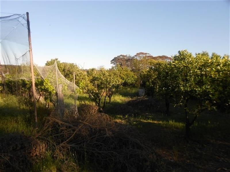 7 Haddleton Road, Woodanilling WA 6316