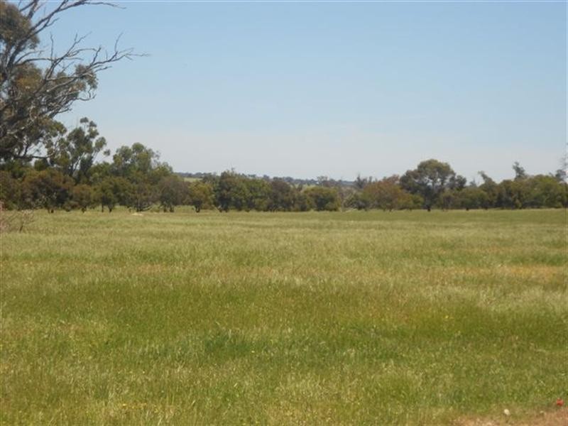 101 Soldiers Road, Kojonup WA 6395