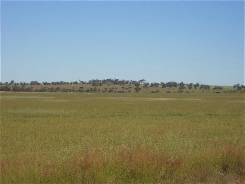 521 Tie Line Road, Broomehill WA 6318