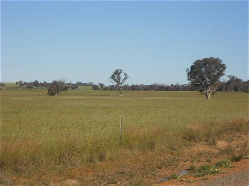 521 Tie Line Road, Broomehill WA 6318
