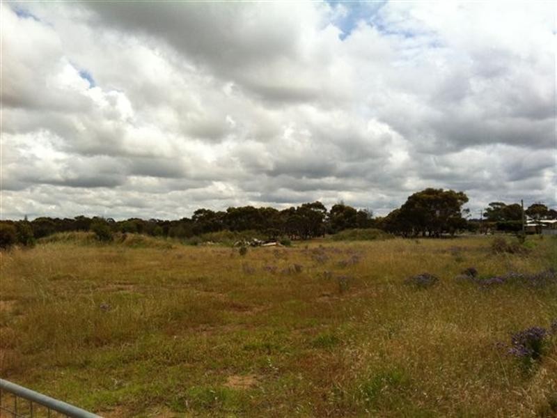 1 Synott Avenue, Katanning WA 6317