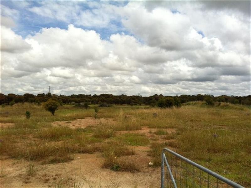 1 Synott Avenue, Katanning WA 6317