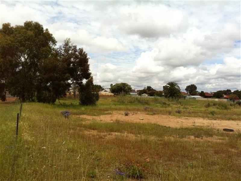 1 Synott Avenue, Katanning WA 6317