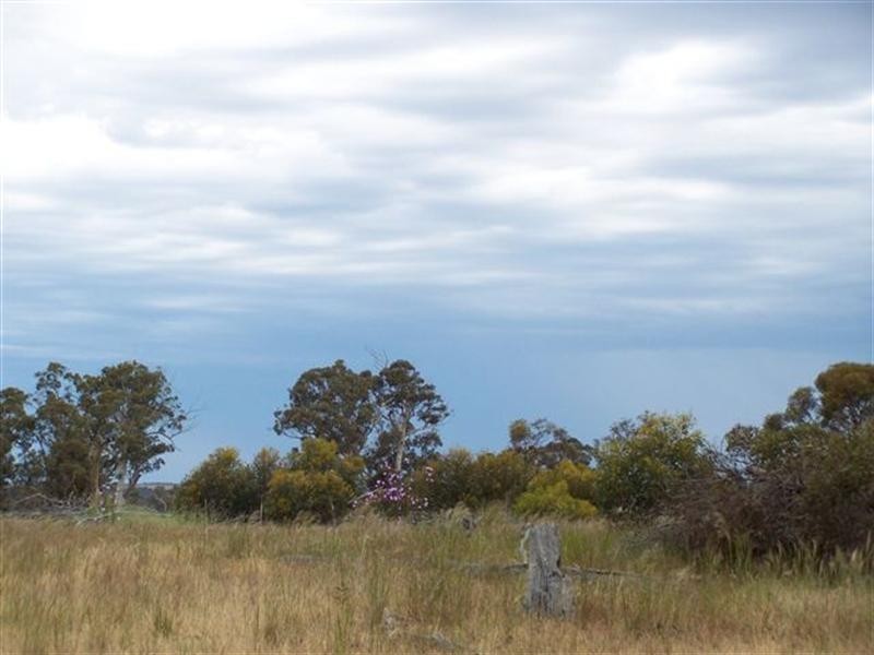 2877 Greenhills Road, Broomehill WA 6318