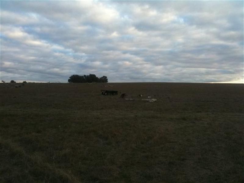 2877 Greenhills Road, Broomehill WA 6318