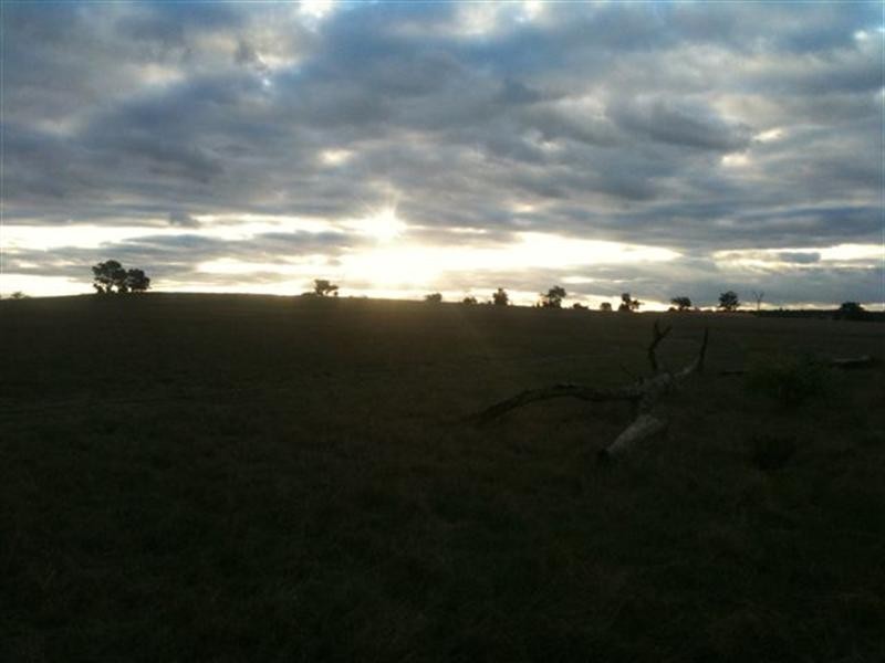 2877 Greenhills Road, Broomehill WA 6318