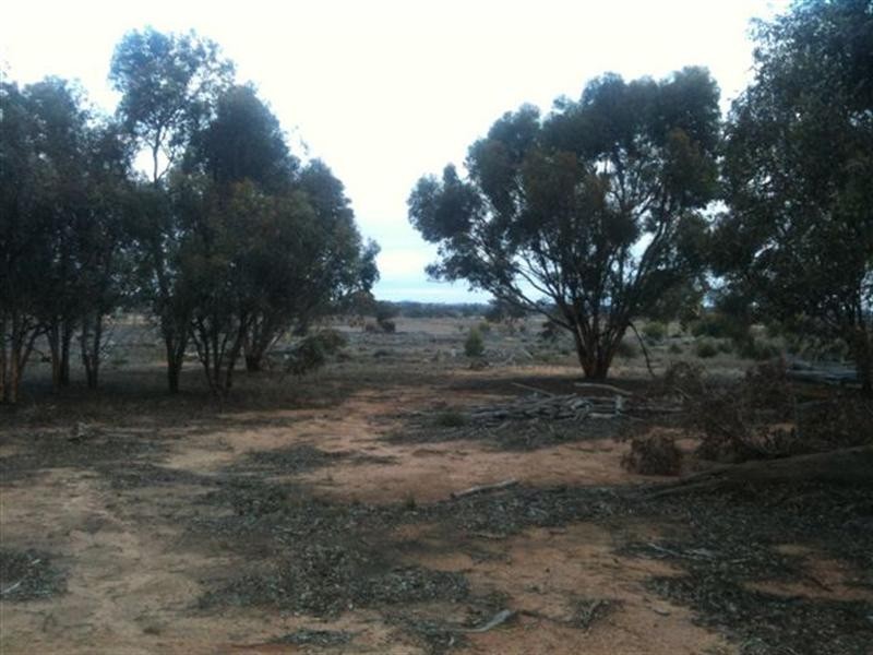 2877 Greenhills Road, Broomehill WA 6318