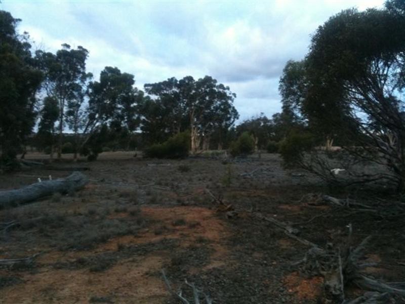 2877 Greenhills Road, Broomehill WA 6318