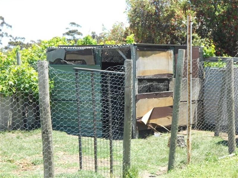 50 Annie Street, Katanning WA 6317