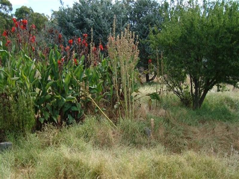 122 Blackwood Road, Muradup WA 6394