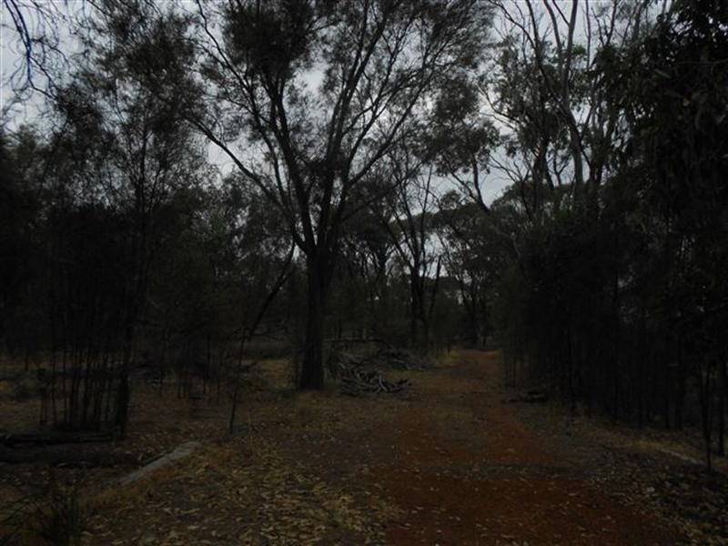 L3 Williams Street, Beaufort River WA 6394