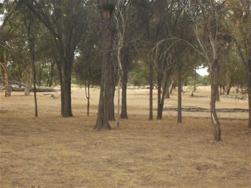 L3 Williams Street, Beaufort River WA 6394