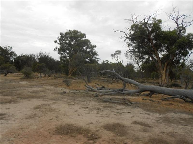 L3 Williams Street, Beaufort River WA 6394