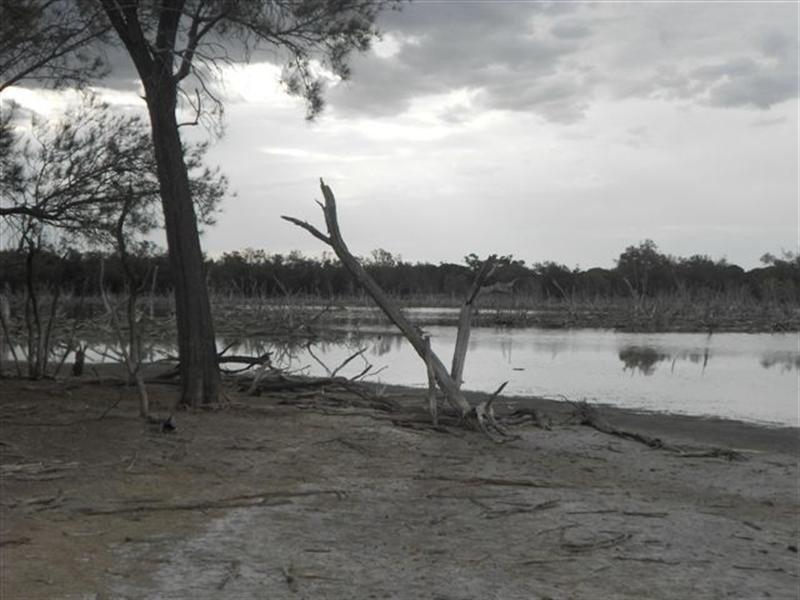 L3 Williams Street, Beaufort River WA 6394