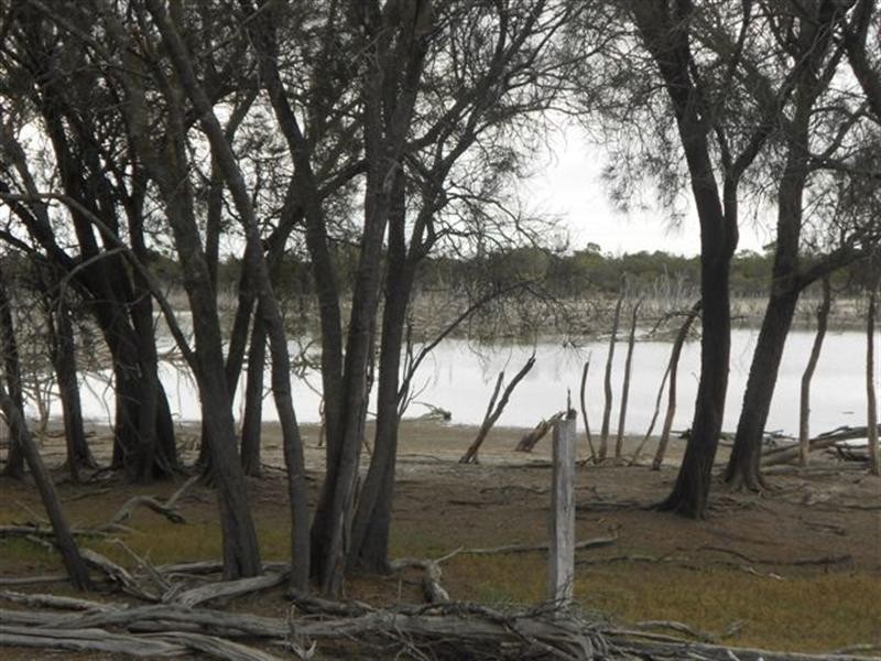 L3 Williams Street, Beaufort River WA 6394