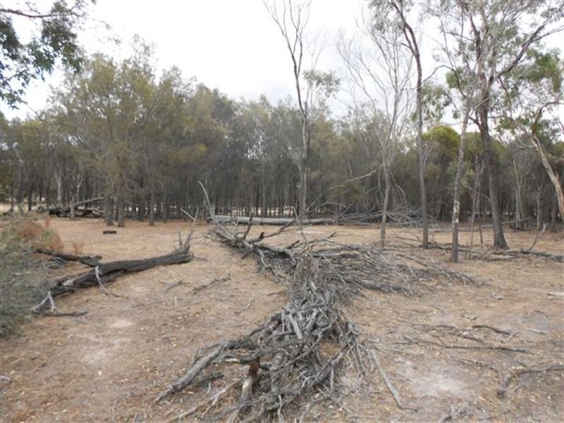 L3 Williams Street, Beaufort River WA 6394