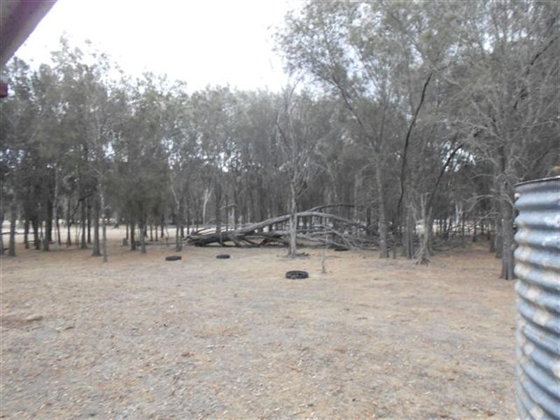 L3 Williams Street, Beaufort River WA 6394