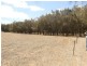 25981 Great Southern Highway, Woodanilling WA 6316