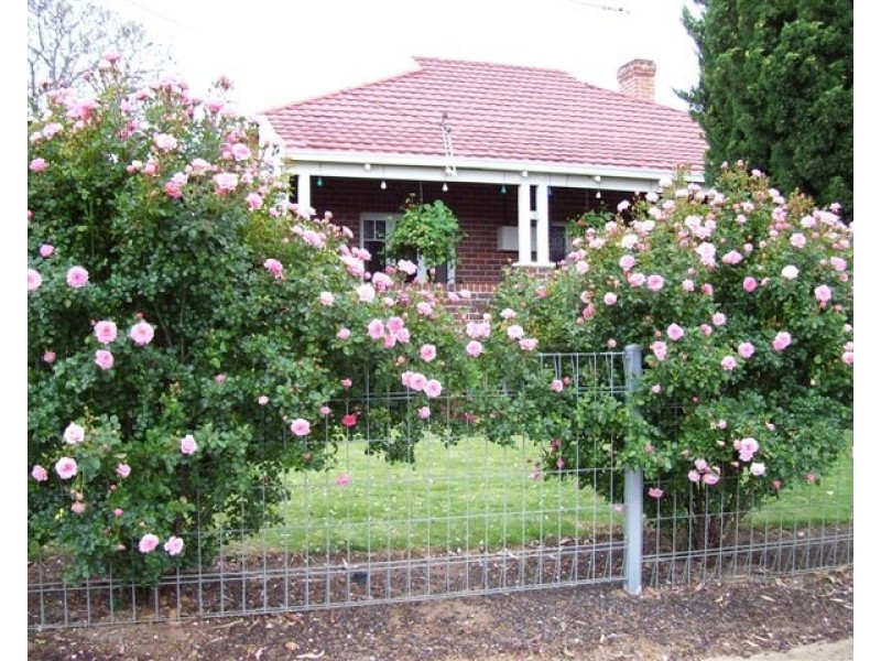 32 Taylor Street, Dumbleyung WA 6350