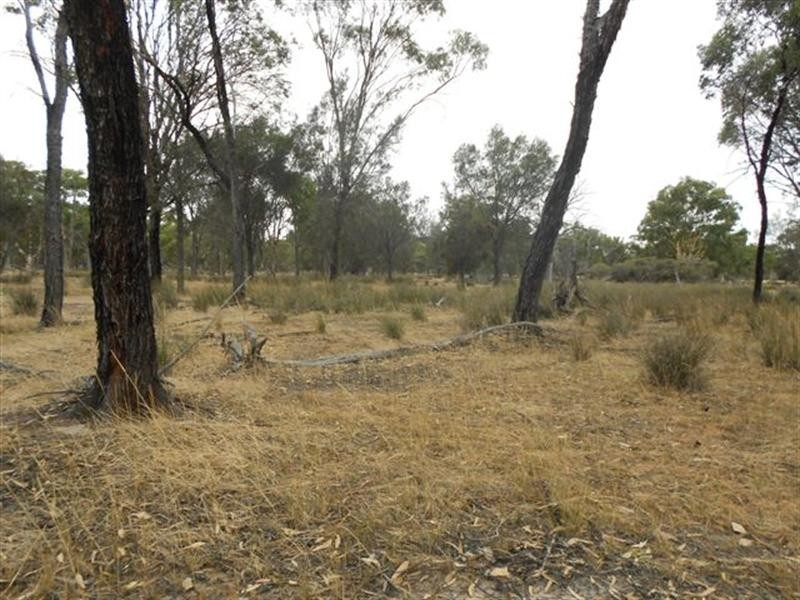 L2 Williams Street, Beaufort River WA 6394