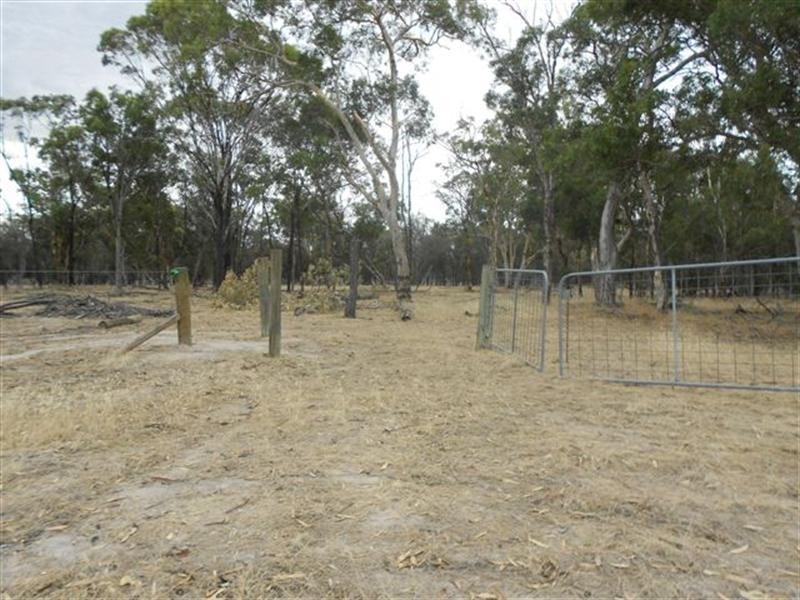 L2 Williams Street, Beaufort River WA 6394